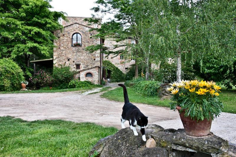 Il Molendino Pisa B&B Calci Exterior photo