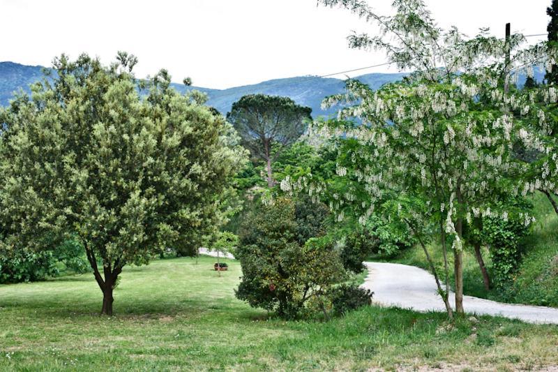 Il Molendino Pisa B&B Calci Exterior photo